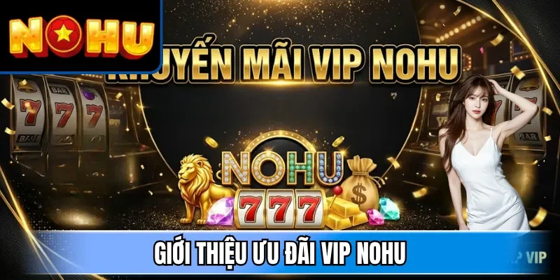 Giới thiệu ưu đãi VIP NOHU